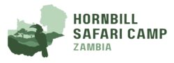 hornbillsafaricamp.com